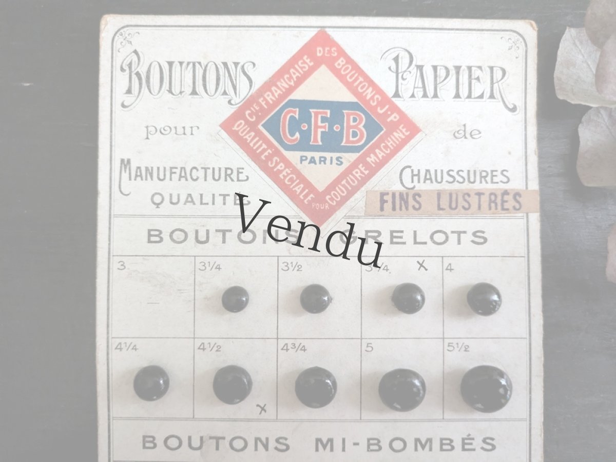 画像2: フランス 1910-30年 シューボタンサンプルシート ノワール C.F.B (2)