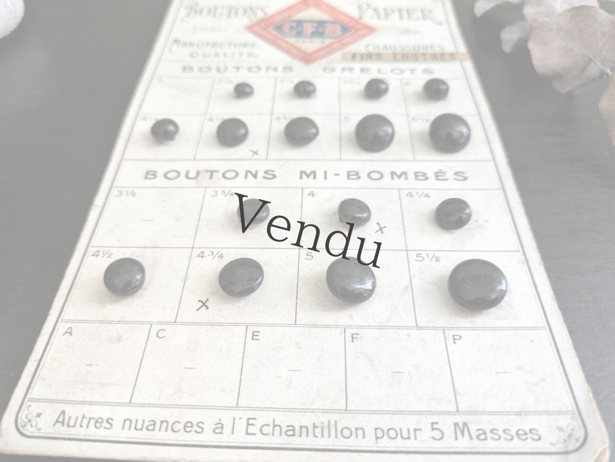 画像4: フランス 1910-30年 シューボタンサンプルシート ノワール C.F.B (4)