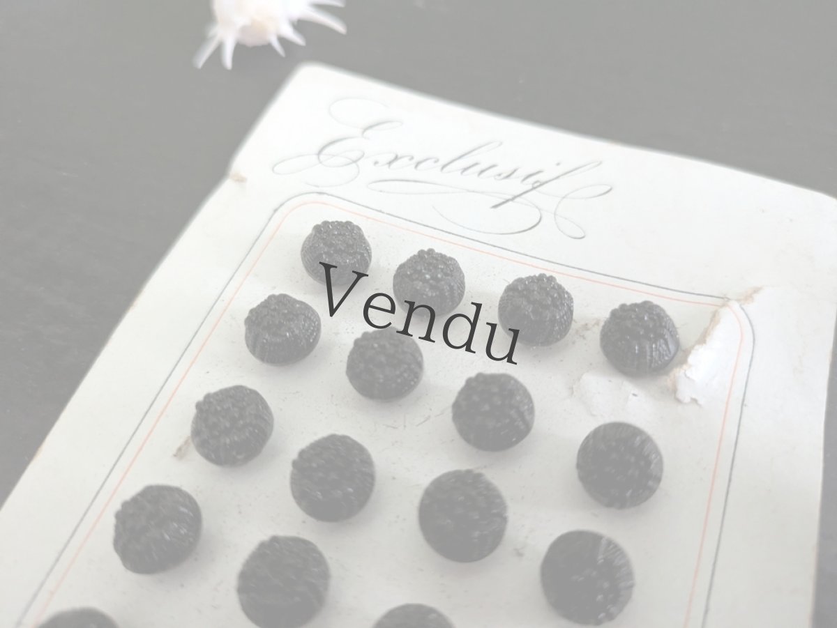 画像3: フランス 1900年前後 フレンチジェットボタンシート 0.9mm (3)