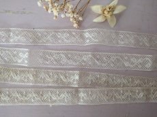 画像6: フランスアンティーク　チュール刺繍レース 2本セット (6)