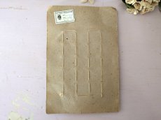 画像6: フランス 1930-50年代 ボタンシート オレンジ 22mm (6)