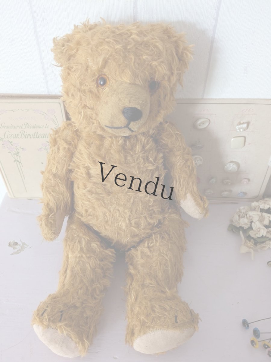 画像4: ドイツ 1910-1940年 くまのぬいぐるみ (4)