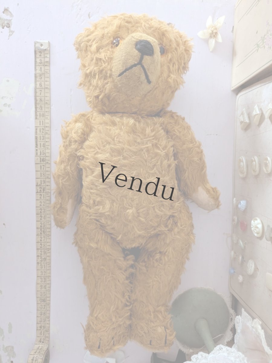 画像7: ドイツ 1910-1940年 くまのぬいぐるみ (7)