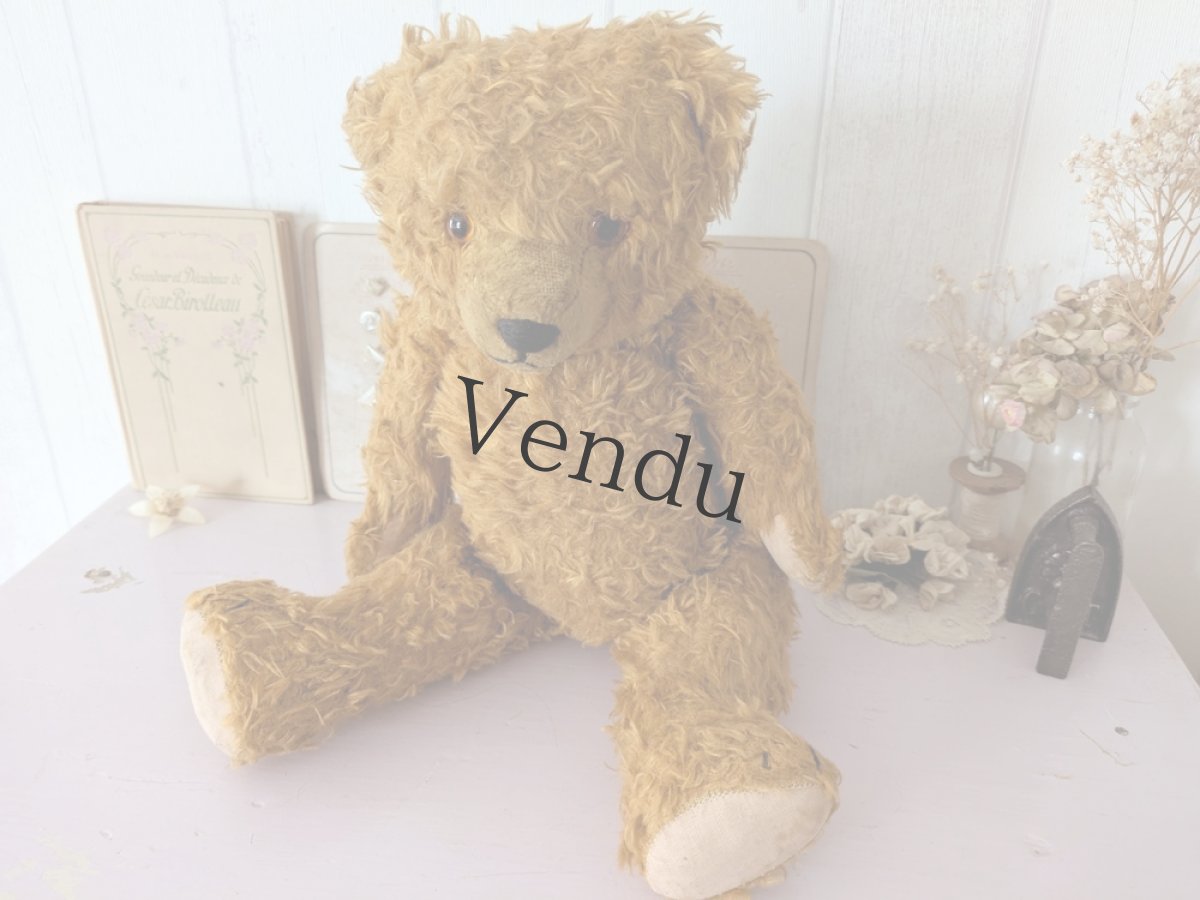 画像1: ドイツ 1910-1940年 くまのぬいぐるみ (1)