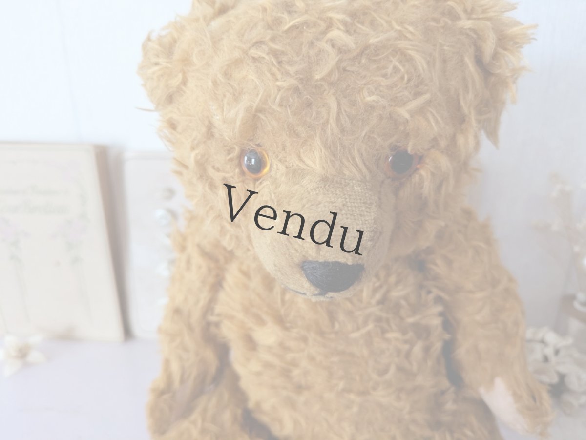 画像2: ドイツ 1910-1940年 くまのぬいぐるみ (2)