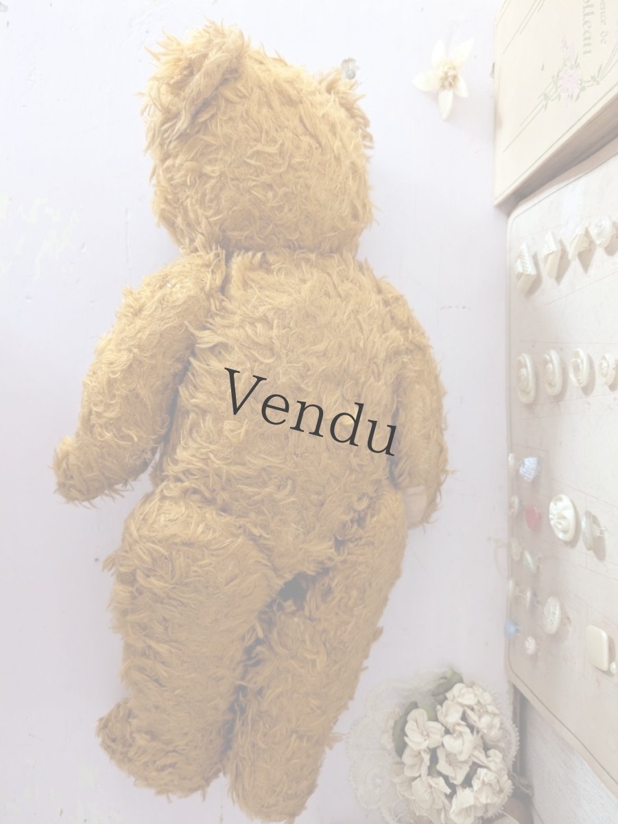 画像8: ドイツ 1910-1940年 くまのぬいぐるみ (8)