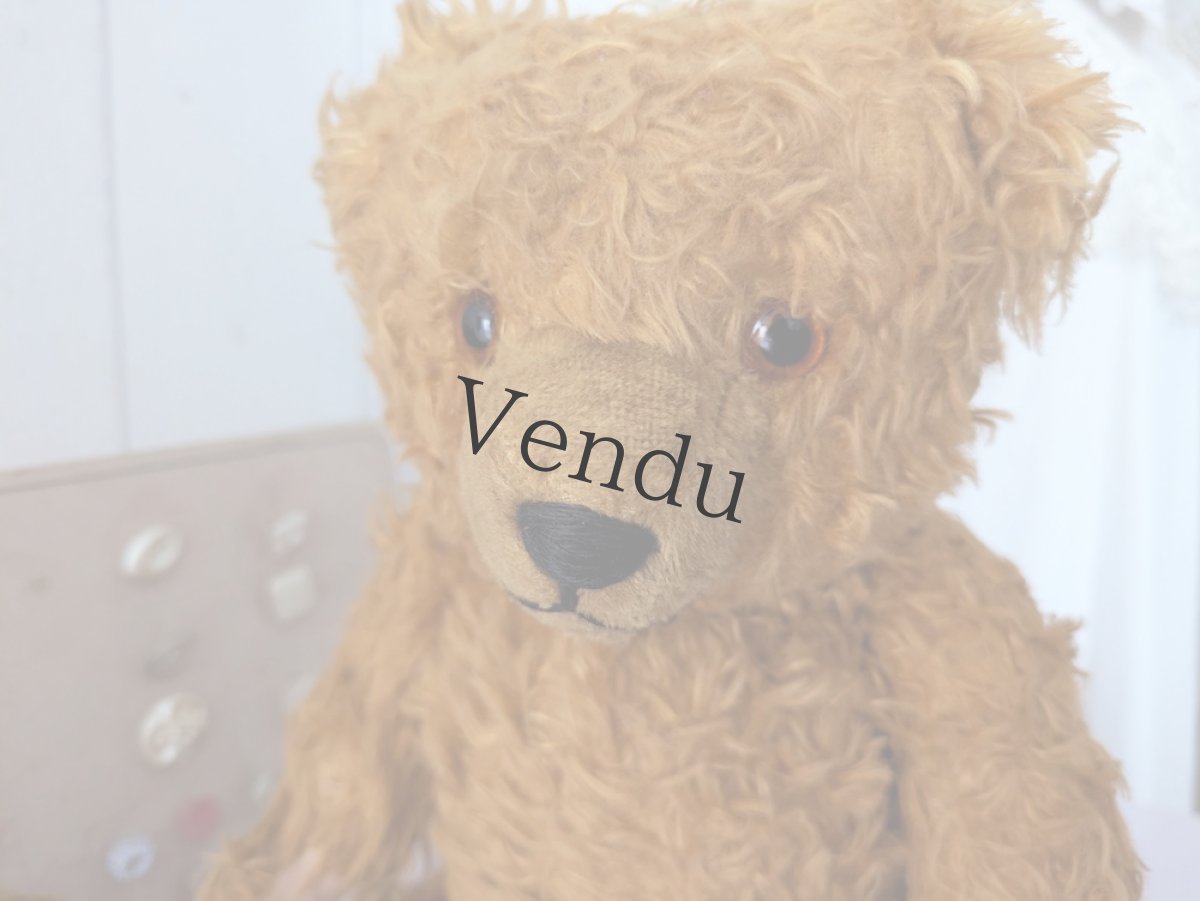 画像6: ドイツ 1910-1940年 くまのぬいぐるみ (6)