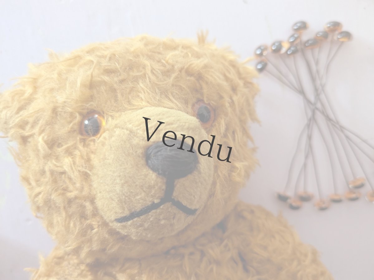 画像10: ドイツ 1910-1940年 くまのぬいぐるみ (10)