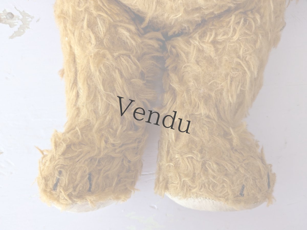 画像9: ドイツ 1910-1940年 くまのぬいぐるみ (9)