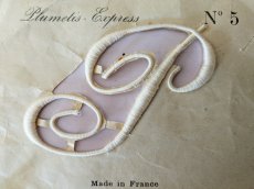 画像2: フランスアンティーク　Plumetis-Express 刺繍イニシャルシート "P" No.5 (2)