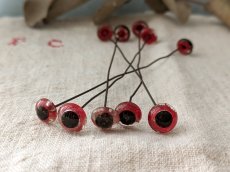 画像1: フランス 1930-50年頃 グラスアイ 5本セット／赤10mm (1)