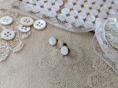 画像2: フランスアンティーク 小さな貝ボタン 3個セット 7mm (2)