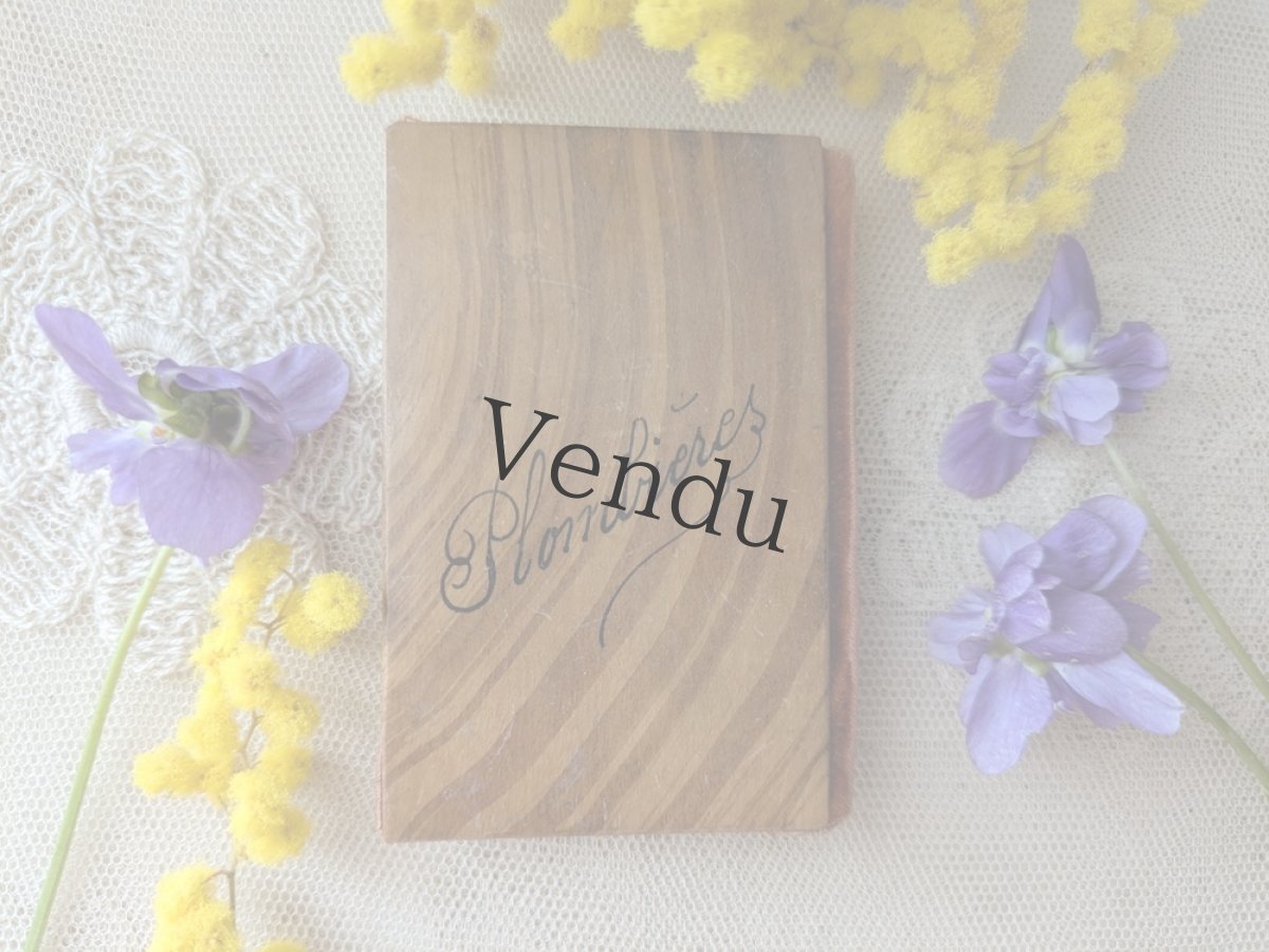 画像7: フランスアンティーク ニードルケース すみれとミモザのモシュリンヌ (7)