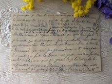 画像3: フランス 1900-1920年 ポストカード スミレとスズラン セルロイド (3)