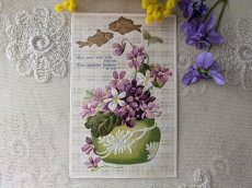 画像1: フランス 1900-1920年 ポストカード スミレとポワッソン (1)