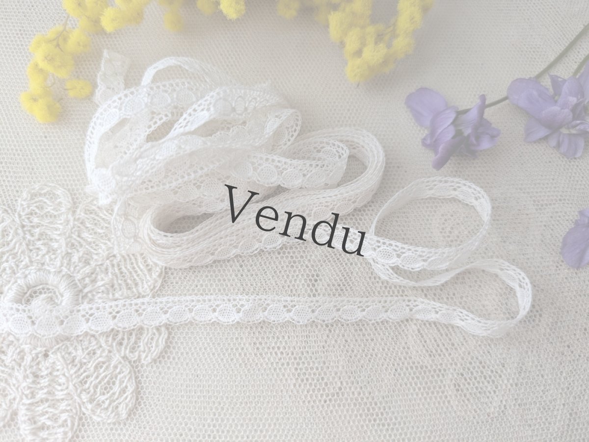 画像1: フランスヴィンテージ　極細8mm幅スカラップレース∞ 305cm (1)