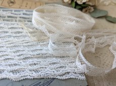 画像5: フランスアンティーク チュールスカラップレース 台紙巻き600cm／360cm (5)