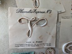 画像1: フランスアンティーク　Plumetis-Express 刺繍イニシャルシート "V" No.3 (1)