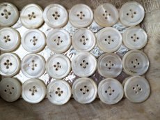 画像3: フランスアンティーク 貝ボタンシート 18mm (3)