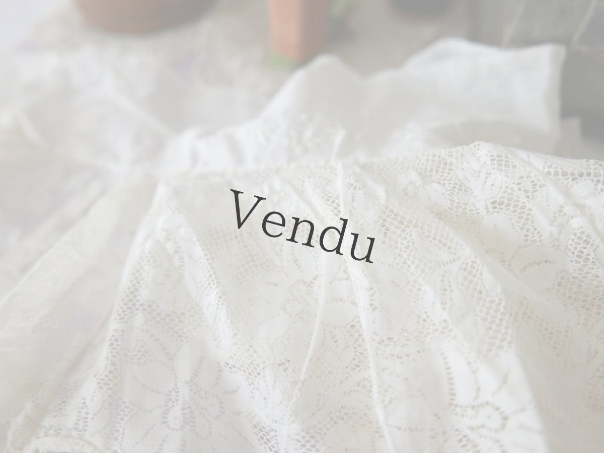 画像7: フランスアンティーク　ペチコートの裾　刺繍とヴァレンシエンヌ幅広レース 112cm (7)